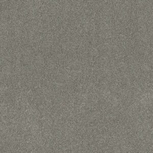 Shaw Floors Carpet Ocean View Drift 00554_ZZ043