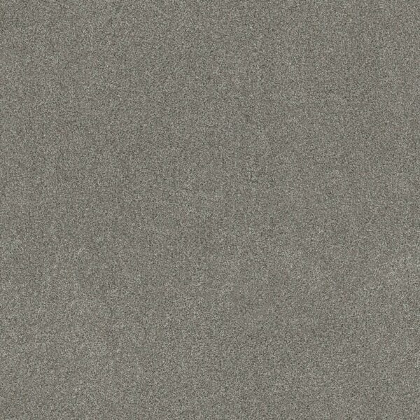 Shaw Floors Carpet Ocean View Drift 00554_ZZ043
