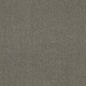 Shaw Floors Carpet Ocean View City Gray 00558_ZZ043