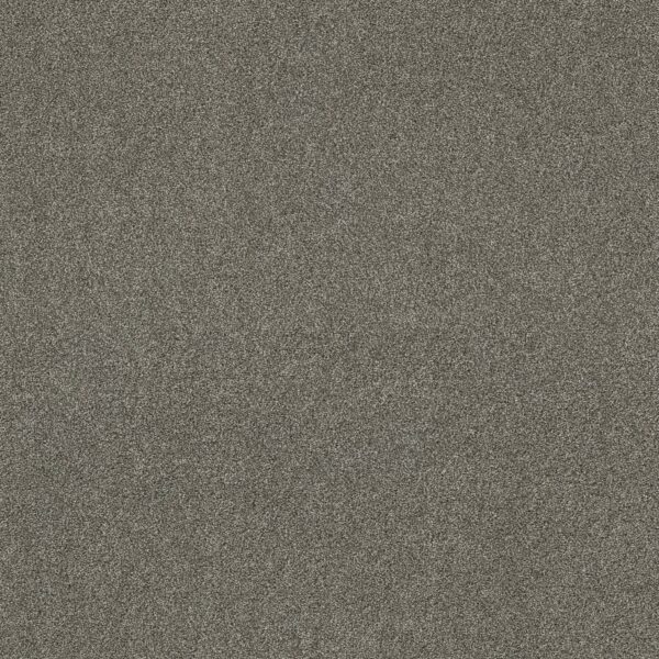 Shaw Floors Carpet Ocean View City Gray 00558_ZZ043