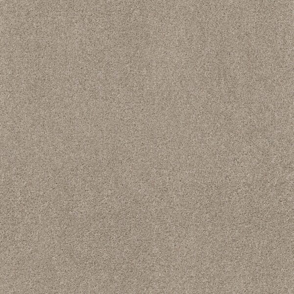 Shaw Floors Carpet Ocean View Smoky Suede 00712_ZZ043