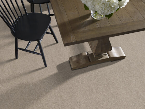Shaw Floors Carpet Ocean View Smoky Suede 00712_ZZ043 - Image 2