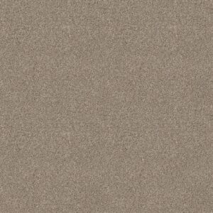 Shaw Floors Carpet Ocean View Mushroom 00725_ZZ043