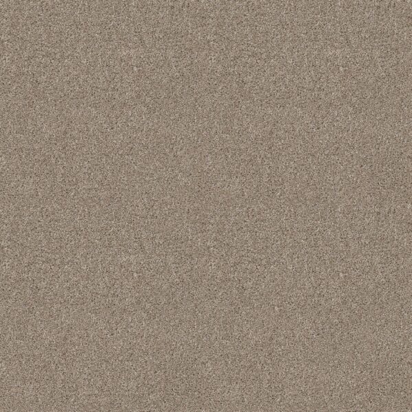 Shaw Floors Carpet Ocean View Mushroom 00725_ZZ043