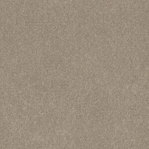 Shaw Floors Carpet Ocean View Clay 00732_ZZ043