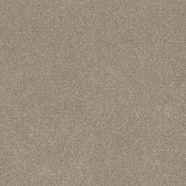 Shaw Floors Carpet Ocean View Clay 00732_ZZ043