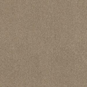 Shaw Floors Carpet Ocean View Serengeti 00733_ZZ043
