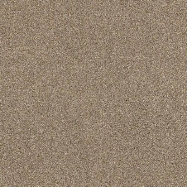 Shaw Floors Carpet Ocean View Serengeti 00733_ZZ043