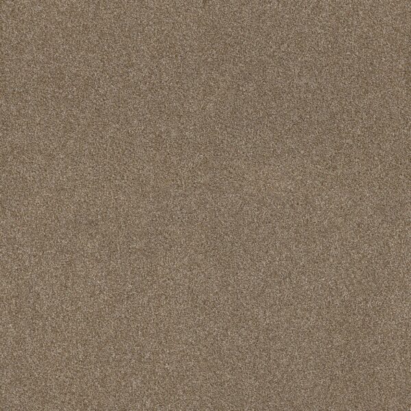 Shaw Floors Carpet Ocean View Lodge 00736_ZZ043
