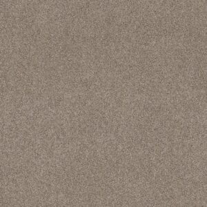 Shaw Floors Carpet Ocean View Caribou 00756_ZZ043
