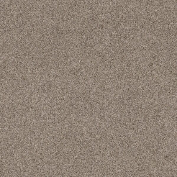 Shaw Floors Carpet Ocean View Caribou 00756_ZZ043