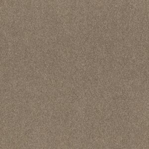 Shaw Floors Carpet Ocean View Canoe 00773_ZZ043