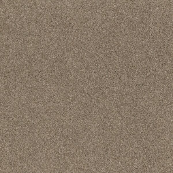 Shaw Floors Carpet Ocean View Canoe 00773_ZZ043