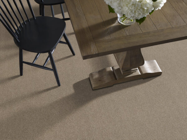 Shaw Floors Carpet Ocean View Canoe 00773_ZZ043 - Image 2