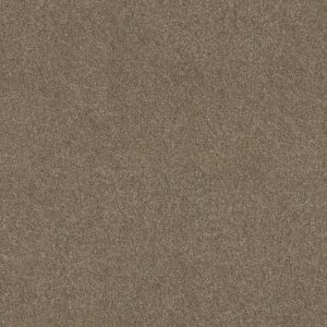 Shaw Floors Carpet Ocean View Canyon Trail 00775_ZZ043