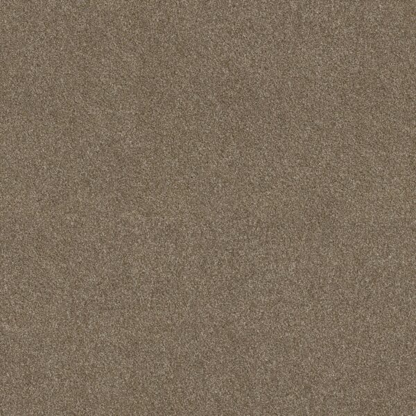 Shaw Floors Carpet Ocean View Canyon Trail 00775_ZZ043