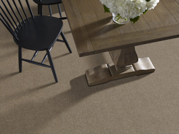 Shaw Floors Carpet Ocean View Canyon Trail 00775_ZZ043 - Image 2
