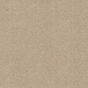 Shaw Floors Carpet Acadia Park Delicate 00113_ZZ044