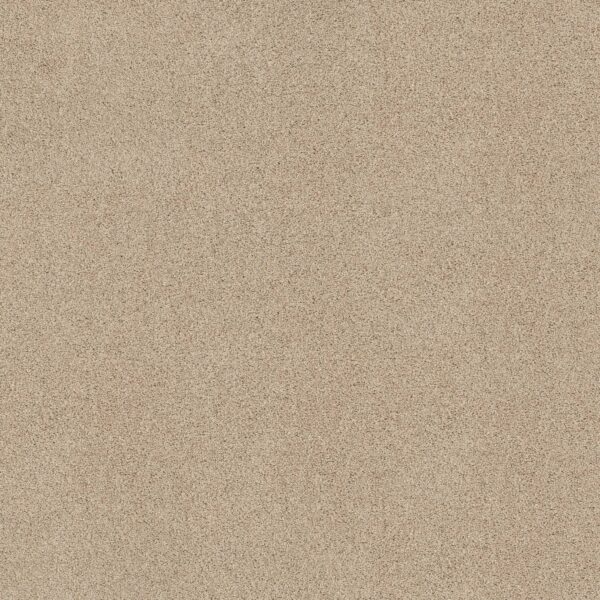 Shaw Floors Carpet Acadia Park Delicate 00113_ZZ044