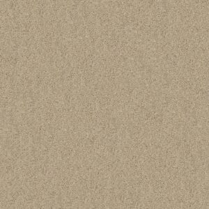 Shaw Floors Carpet Acadia Park Softer Tan 00123_ZZ044