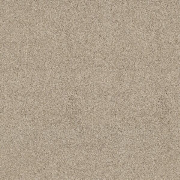 Shaw Floors Carpet Acadia Park Dhurrie 00133_ZZ044