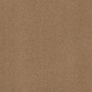 Shaw Floors Carpet Acadia Park Saddle 00228_ZZ044