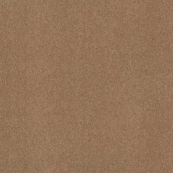 Shaw Floors Carpet Acadia Park Saddle 00228_ZZ044