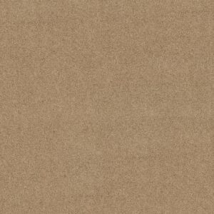 Shaw Floors Carpet Acadia Park Farro 00237_ZZ044