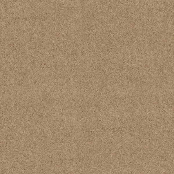 Shaw Floors Carpet Acadia Park Farro 00237_ZZ044