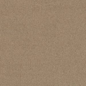 Shaw Floors Carpet Acadia Park Wicker 00273_ZZ044