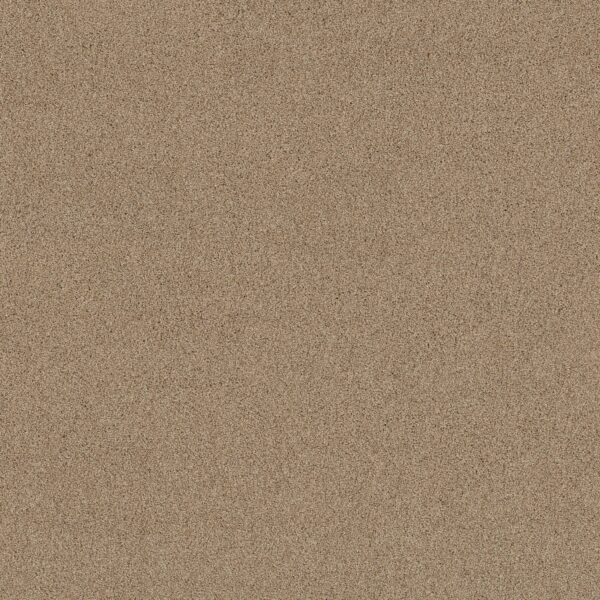 Shaw Floors Carpet Acadia Park Wicker 00273_ZZ044