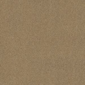 Shaw Floors Carpet Acadia Park Caramelo 00275_ZZ044