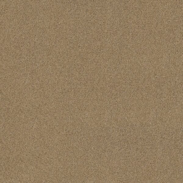 Shaw Floors Carpet Acadia Park Caramelo 00275_ZZ044