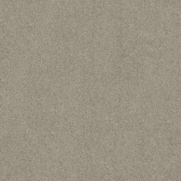 Shaw Floors Carpet Acadia Park Shale 00512_ZZ044