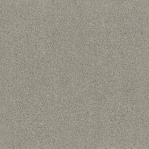 Shaw Floors Carpet Acadia Park Celtic 00523_ZZ044