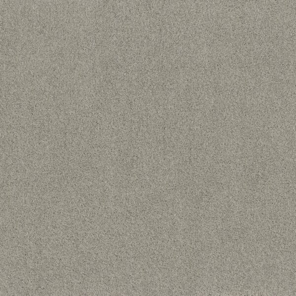 Shaw Floors Carpet Acadia Park Celtic 00523_ZZ044