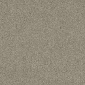 Shaw Floors Carpet Acadia Park Shadow 00534_ZZ044