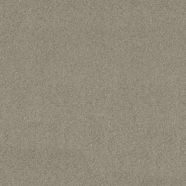 Shaw Floors Carpet Acadia Park Shadow 00534_ZZ044