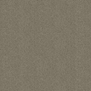 Shaw Floors Carpet Acadia Park Elusive 00537_ZZ044