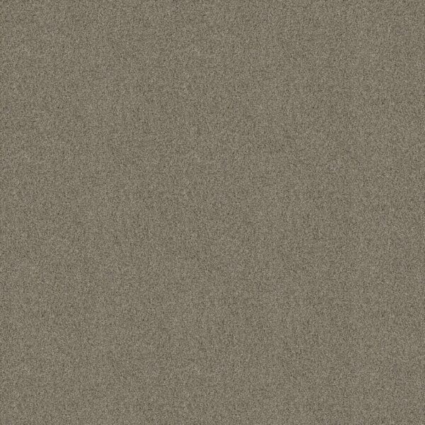 Shaw Floors Carpet Acadia Park Elusive 00537_ZZ044