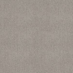 Shaw Floors Carpet Acadia Park Silver Screen 00542_ZZ044