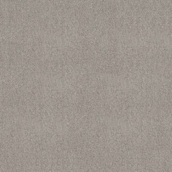 Shaw Floors Carpet Acadia Park Silver Screen 00542_ZZ044