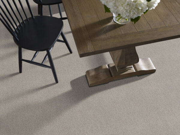 Shaw Floors Carpet Acadia Park Silver Screen 00542_ZZ044 - Image 2