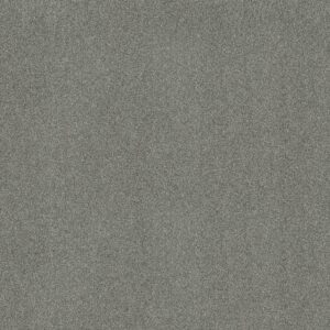Shaw Floors Carpet Acadia Park Classic Stone 00545_ZZ044