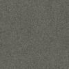 Shaw Floors Carpet Acadia Park Mineralite 00548_ZZ044