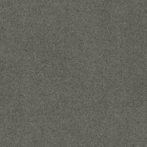 Shaw Floors Carpet Acadia Park Mineralite 00548_ZZ044
