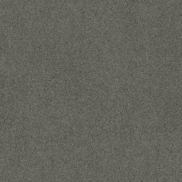 Shaw Floors Carpet Acadia Park Mineralite 00548_ZZ044