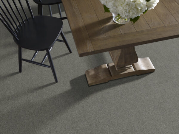 Shaw Floors Carpet Acadia Park Mineralite 00548_ZZ044 - Image 2