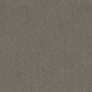 Shaw Floors Carpet Acadia Park Drift 00554_ZZ044