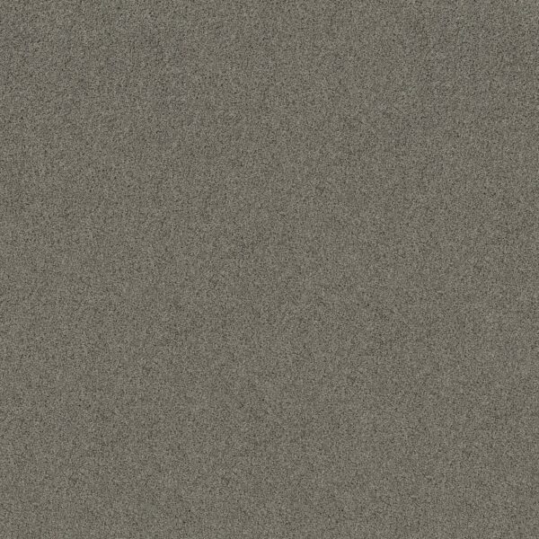Shaw Floors Carpet Acadia Park Drift 00554_ZZ044